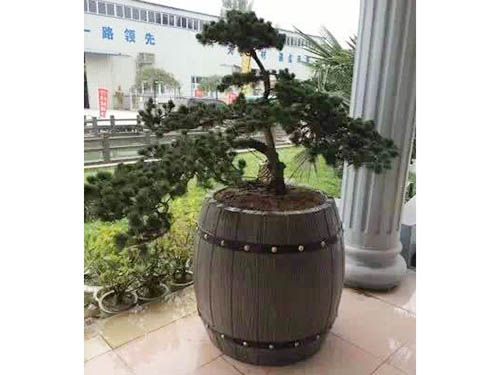 艺术盆景 (2)